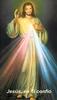 *SPANISH* Divine Mercy Chaplet Prayer Card(FOR THOSE UNABLE TO ATTEND MASS)